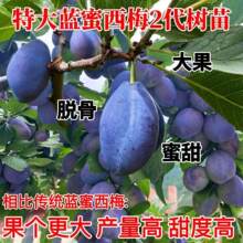 �{����÷�������ڼ޽Ӵ�������x���������ϱ����Nֲ