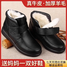 ëƤЬӽqůЬƤЬѥŮꋌЬ