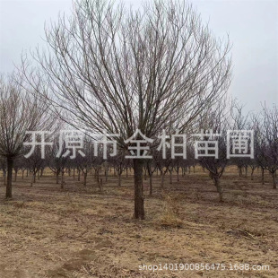 ��z�������̘��z�^��������������ʽ����8-15������@�z�^��