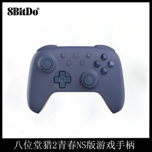 Eight Hall Hunting 2 Youth NS Edition Game Handle Orion Second Generation Bluetooth Handle Hall Rocker
