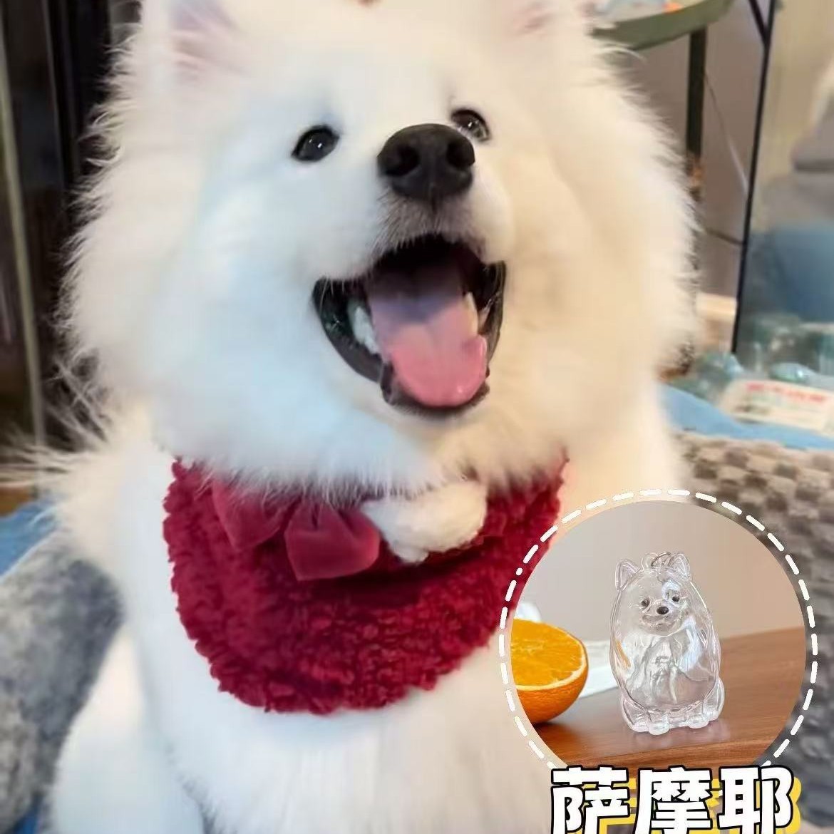 卸売透明猫毛収納カプセルチャームガシャポン猫毛収納ボックスキーホルダー記念車のペンダント