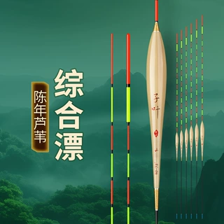 综合浮漂 竞技高档带壳芦苇鱼漂高灵敏醒目加粗鲫鲤混养野钓鱼鳔