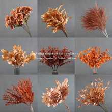 ��ɫϵ��c������ɫ��ɫ��Y��ܛ�b���ý������⻨�Ĳ廨�~�Ӱ��~