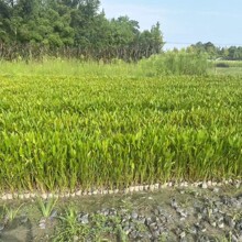 �F���Ĵ��ؑc���~��15�ڷ����~��20�ڷ����~��25�ڷ����~��30�ڷ�