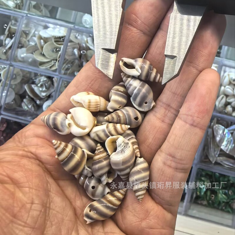 Small Chanel-Style Shell Buttons, Natural Conch Shell Buttons, Colorful Accessories for Women's Coats, Sweaters, and Exquisite Small Buttons