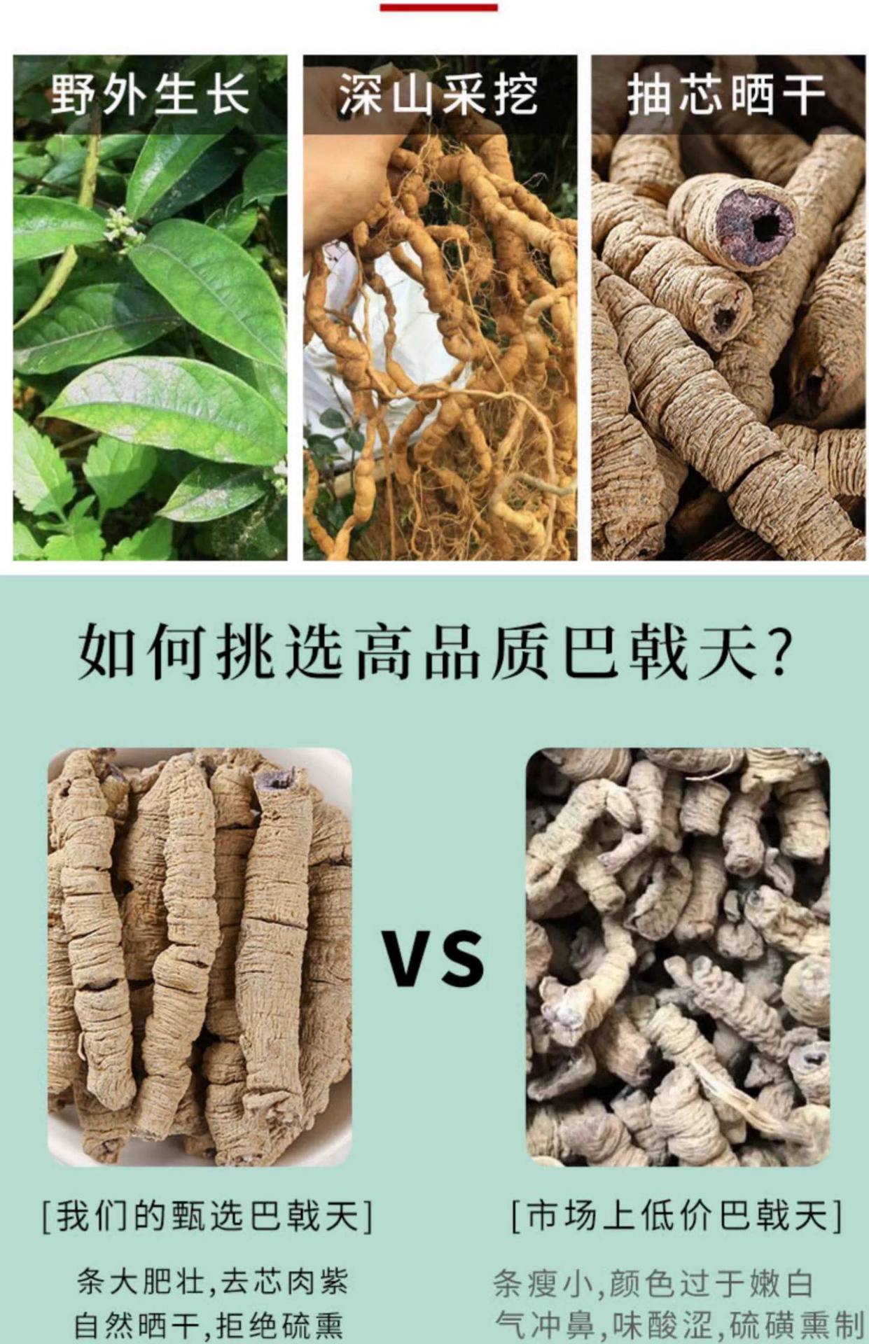 Morinda Root Ba Ji Tian 巴戟天 Dried Herb 500g for Traditional TCM Decoction and Herbal Wine key features