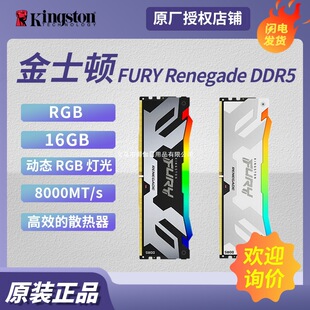 �m�ý�ʿ�DFURY DDR5RGB 16GB 8000̨ʽ�C�ȴ� Renegade ����l