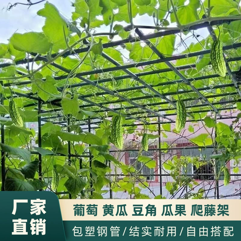 Кронштейн для сборки виноградной стойки на открытом воздухе, стойка для лазания с плодами страстного фрукта, горькой дыни, железная пергола, балконная стойка для лазания растений