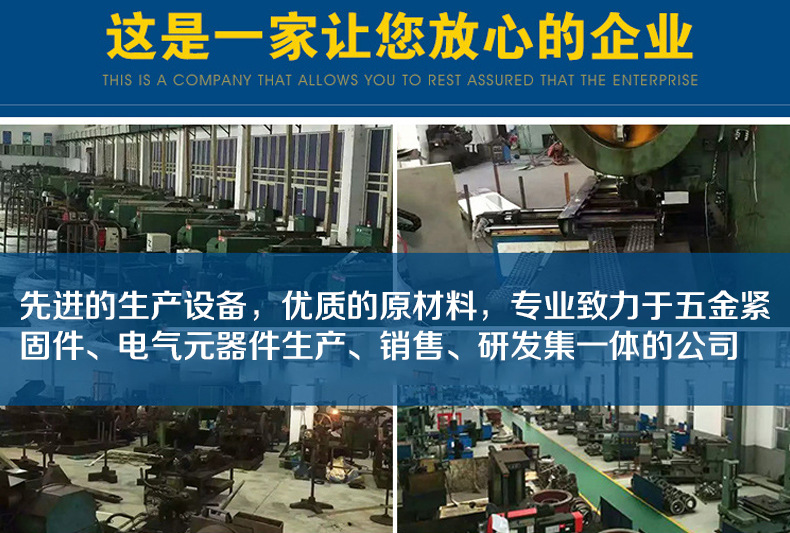 （5）企业介绍(实力)