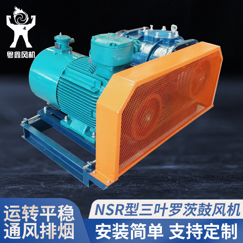 批发低躁高压NSR型罗茨风机密集型三叶鼓风机废气处理排烟通风机