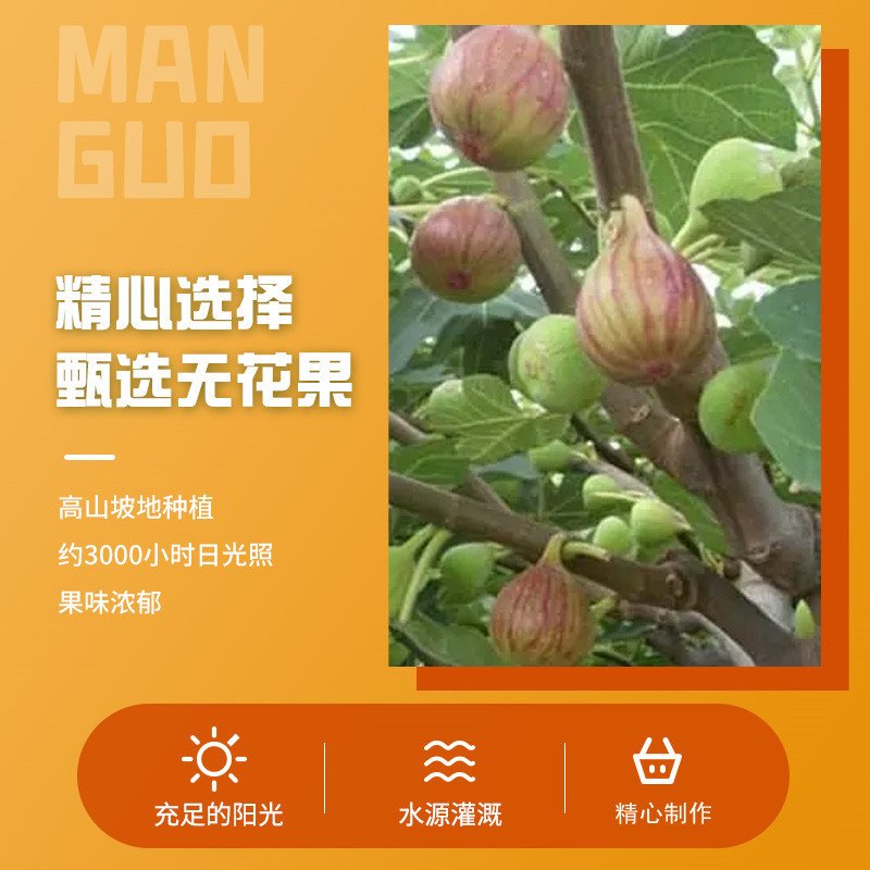 整箱廠家批發果脯休閒貨源酸甜辦公室蜜餞果蔬食品水果乾無花果乾