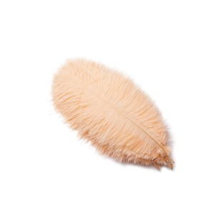 �S�ҬF؛15-20cm���|��ɫ�r�Bë����[����ˇƷ�赸�����r�B��ë