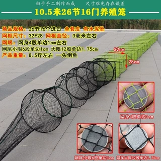 精品10米龙虾养殖笼专用虾笼捕虾网新款龙虾网笼可拆卸尾巴龙虾笼