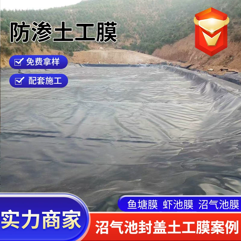 Прямая поставка опасных отходов, наполнения минерального шлака, заглубленного поля, геомембраны национального стандарта, защита от воздействия помех, материал против просачивания рыбного пруда, мембрана против просачивания