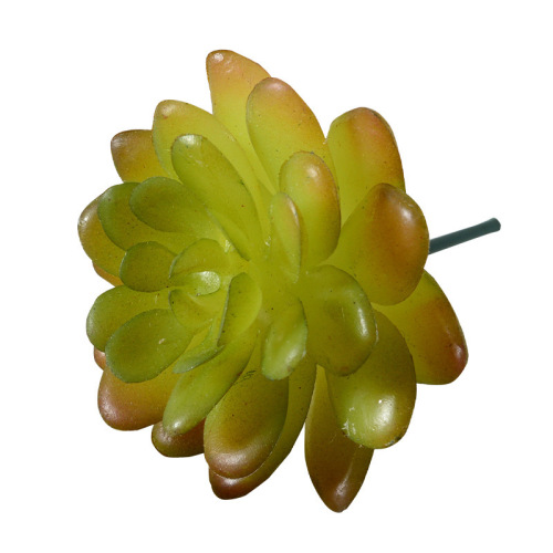 Simulation succulent plant green plant decoration cactus indoor office small ornaments combination potted bonsai wholesale