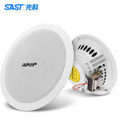 Skyworth S1-5 Ceiling Speaker Wired Public Address Speaker Flush Installation Constant Voltage Coaxial Living Room Suspension Dome Speaker