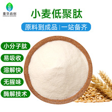 小麦低聚肽粉水溶性食品级小分子肽小麦蛋白寡肽现货原料厂家直供