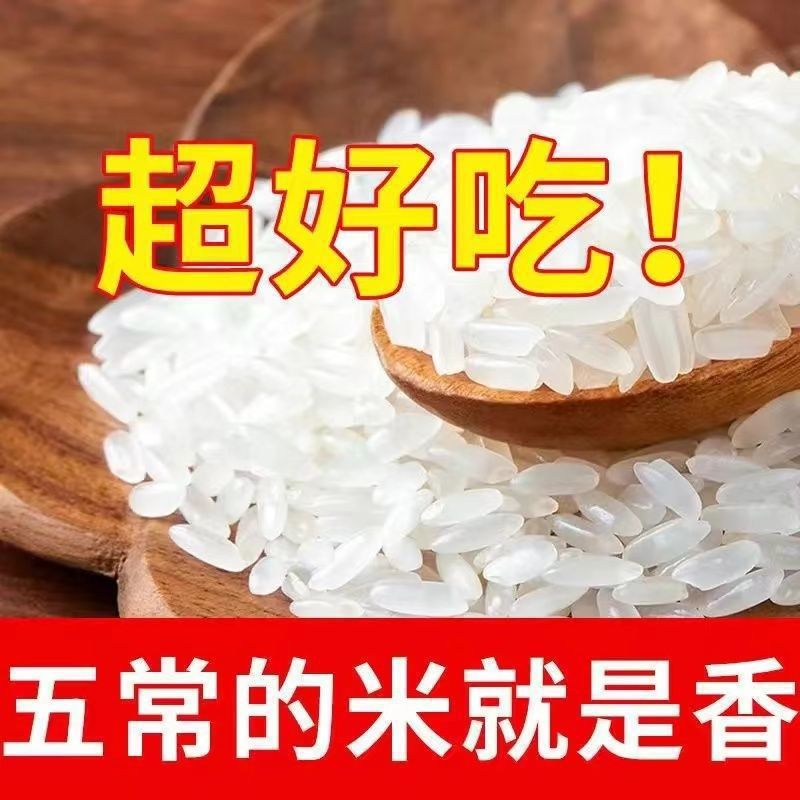 五常稻花香米长粒香米斤厂家直销大米批发东北黑龙江包邮克袋装