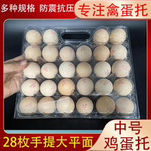 һ����͸�����ϵ���28ö������̖���� ��ƽ�����u���а��b���бP