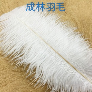 �r�Bë��ë25-30cm�S��Ⱦɫ�ӹ�