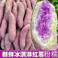 �����һ�c�t�����t���ع�����ɽ���Ŵ����5����]�������N�F��