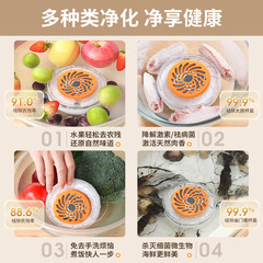 跨境新款果蔬清洗机洗菜机净化器家用食材清洗器水果蔬菜去农残消