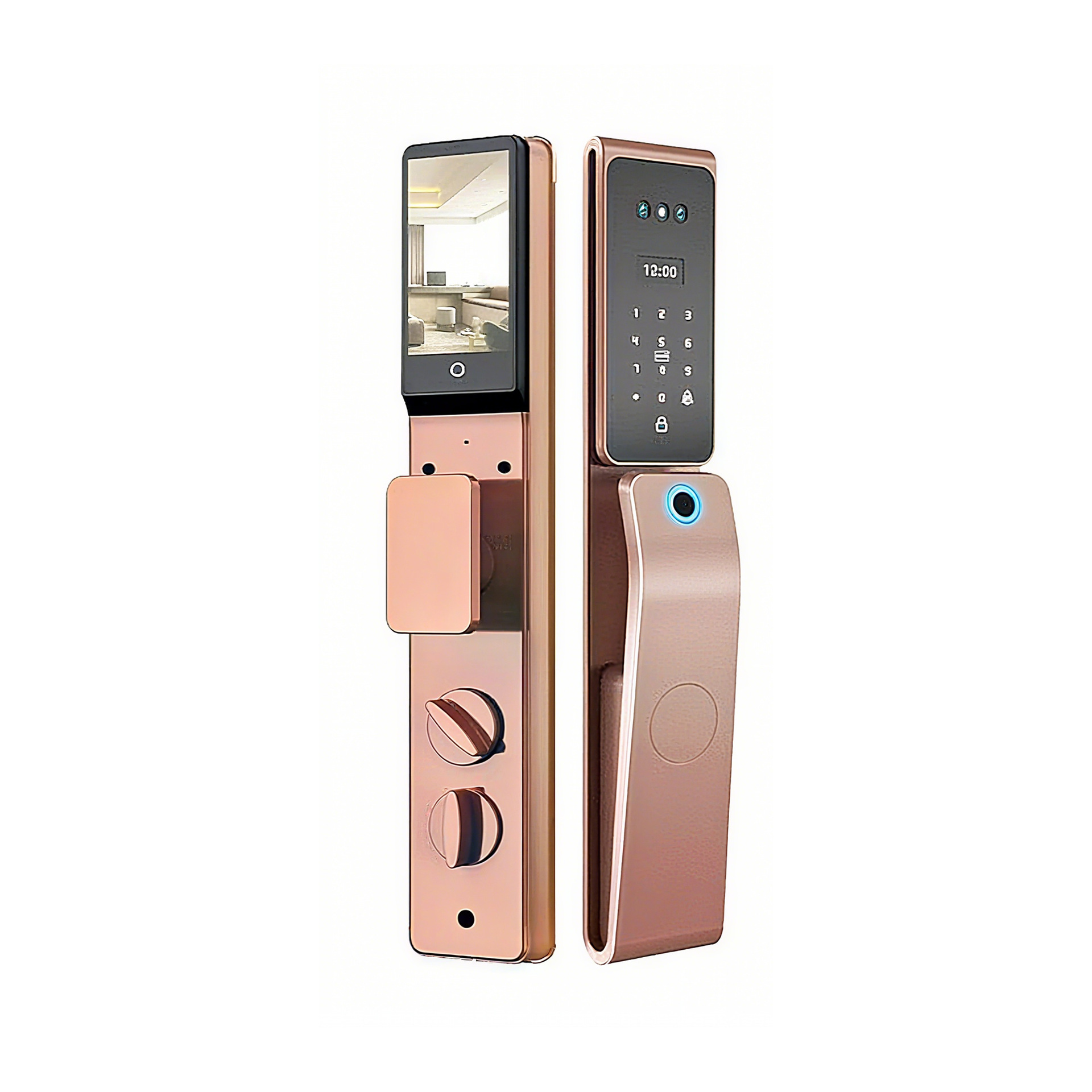 Face recognition lock + lock body card gold-TUYA WIFI