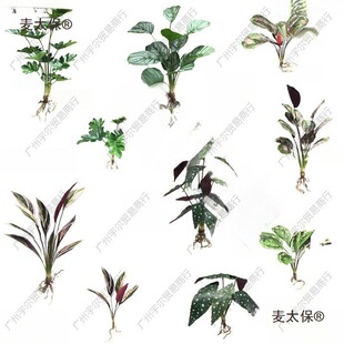 ����Gֲ�����~�ӎ��� �����~ �콶�~�����~�ﺣ���~��������̫��