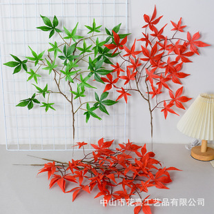 �����֦�t���~�t��֦�٘��~�����b٘��~�G�~�ӽ������ϻ��Gֲ