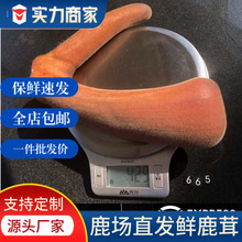 鹿茸鹿茸片泡酒中药材长白山特产批发食品礼盒鲜片新货冷冻锁鲜