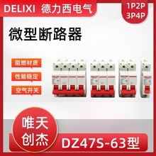 ������С�͔�·��DZ47S-63/1P/2P/3P/4P��������ľ��՚��_�P125A