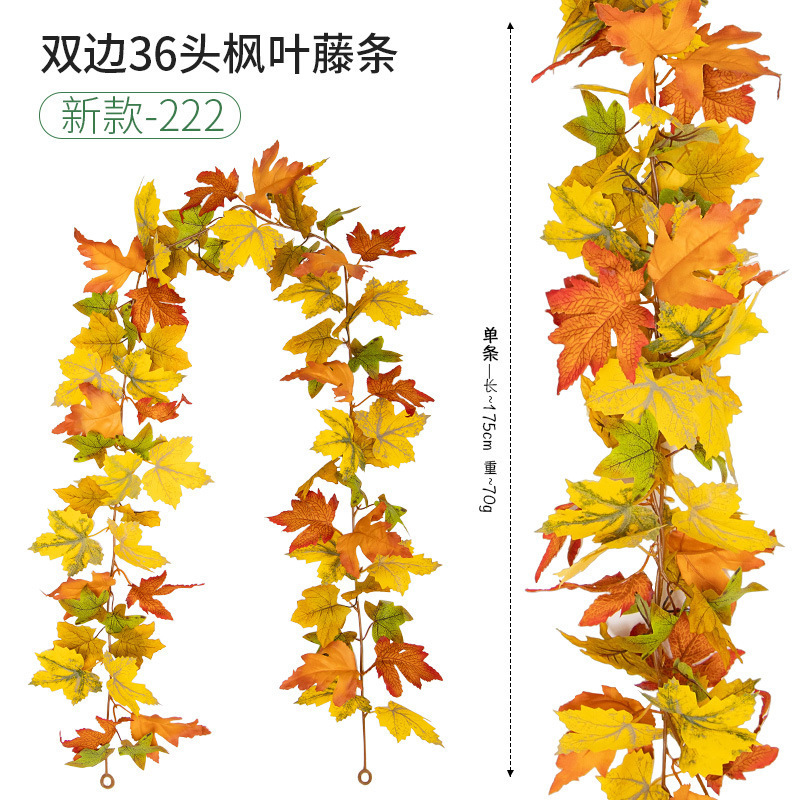 36 new model-222
