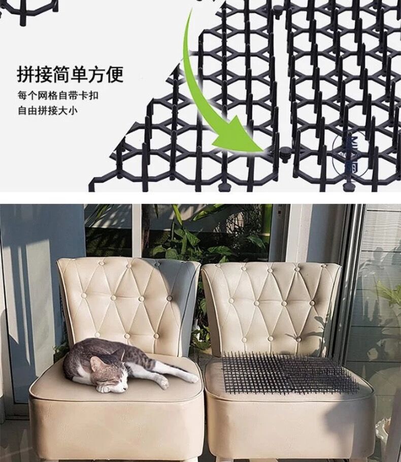 QQ图片20210930104243.jpg