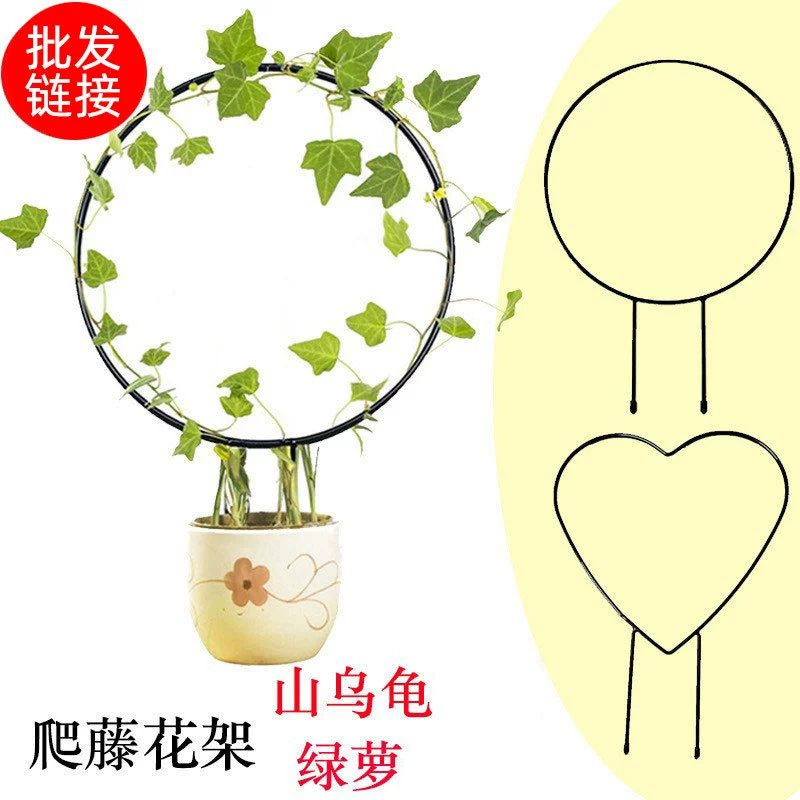 Крытый в форме сердца подставка для цветов Горная черепаха Зеленая Роза Подставка для скалолазания Зеленые растения Подставка для скалолазания Круглая форма Металлическая опорная рама
