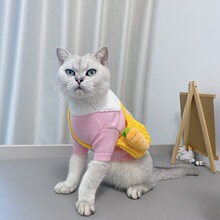 �ﶬ؈���·���ɫ���ӎ����ë����С�͌��ﹷ��̩�ϱ�ů��؈