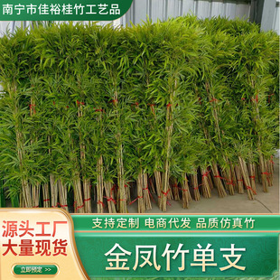 ֲ��Ժ���������҃ȑ������پGֲ���ϓ����[�������滨�߷���