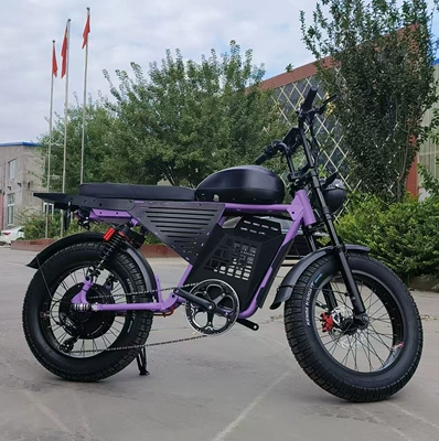 Electric Bicycle Off-Road: Diàndòngchē Auto Parts and Accessories