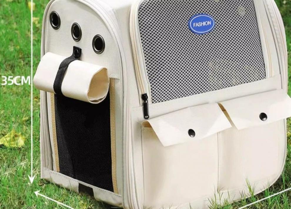 111a665a-342d-4c9a-80fe-2bb3c3da8236.jpe