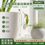 跨境定制彩色园艺花插