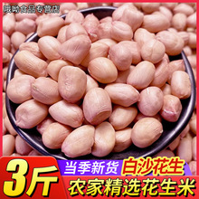 2025农家自种带壳生花生新鲜晒干薄壳原味粉红皮花生米批发2500g