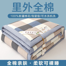 新款全棉夏凉被可机洗新疆棉花芯学生宿舍空调被儿童纯棉夏被被芯