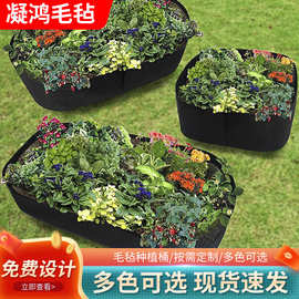 毛毡多格长方形种植袋耐腐蚀美植袋蔬菜生长袋花可降解营养袋批发