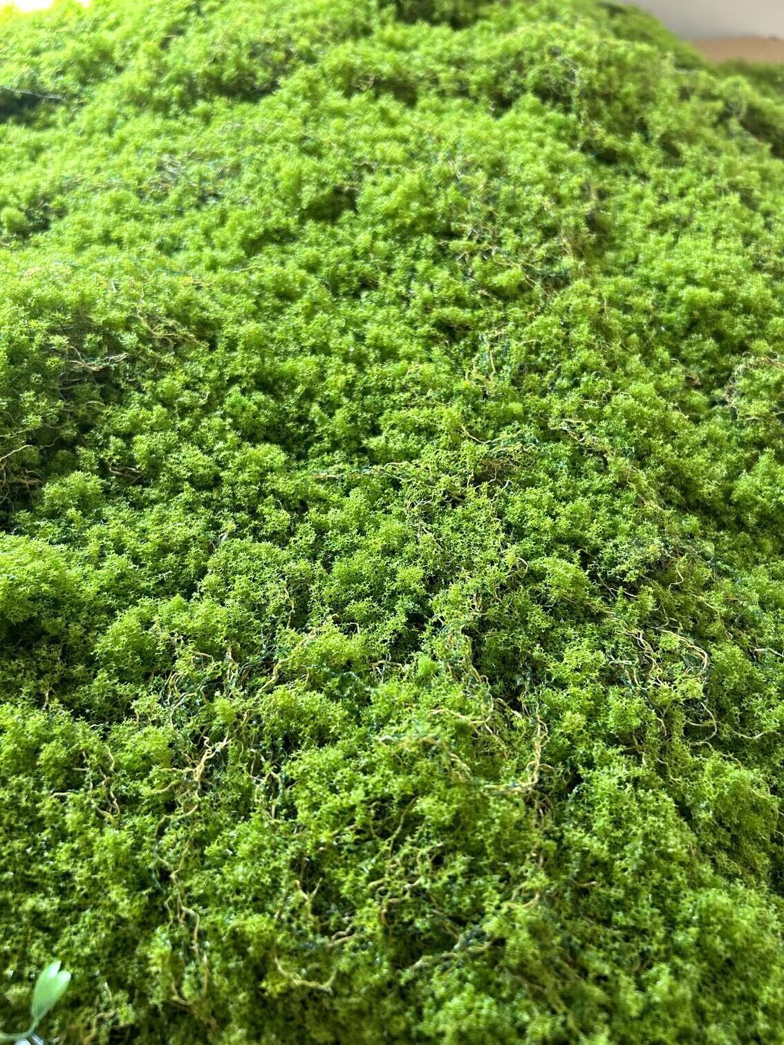 QQ图片20240123184140