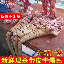 6�����r�F����Ƥţβ�����l�r��ɢ�B�Sţβ�ǰ����t��ţβʳ��