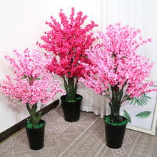 һ٘҃bԿ͏dͼٻ辰Ҙ[O