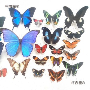 �����չ����Nԭ���s���G�����P���Żҵ����x���x�׃��@����̫��