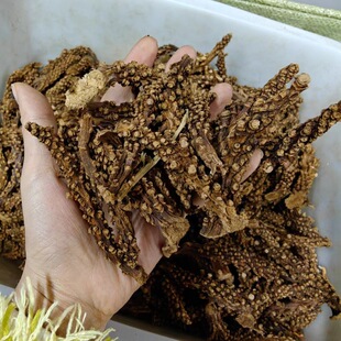 ���޲��������۲ݡ���ţϥ�ȣ������r�aƷ