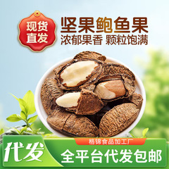 代发 批发 鲍鱼果巴西果仁带壳坚果沙漠果坚果香脆可口干果零食