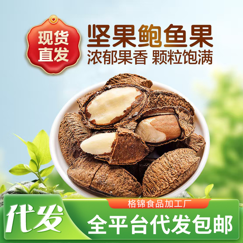 代发 批发 鲍鱼果巴西果仁带壳坚果沙漠果坚果香脆可口干果零食|undefined