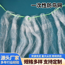 防鸟网稻谷稻穗大棚出风口果树菜园鱼塘樱桃草莓防护网防鸟网天网